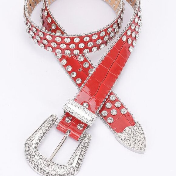 Multi Metal Stone Studded Belt - Picture 8 of 9